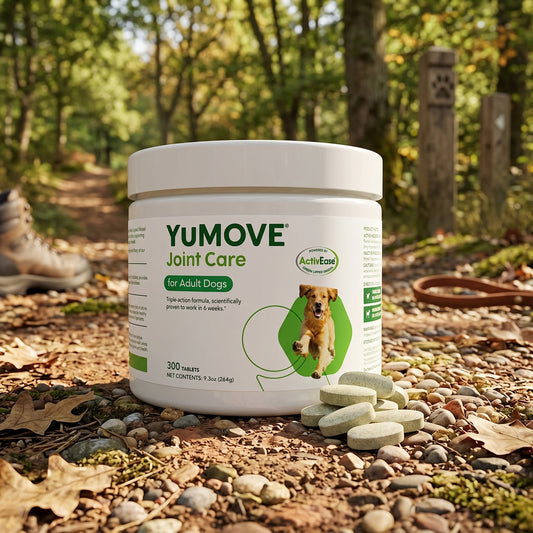 YuMOVE Max Strength Joint Supplement for Senior Dogs | High-Strength Hip & Joint Support with Glucosamine, Green Lipped Mussel & Hyaluronic Acid